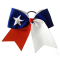 Texas Flag Hair Bow