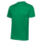 Unisex/Youth Nexgen Wicking Tee - Kelly Green