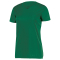 Ladies Nexgen Wicking V-Neck Tee - Forest Green