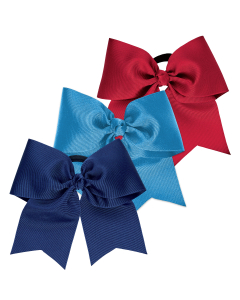 Accessory Package #37