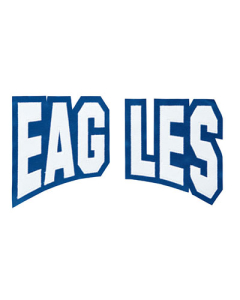 2 Color Split Tackle Twill Flat Top Arch Lettering (TVSFASFC2)