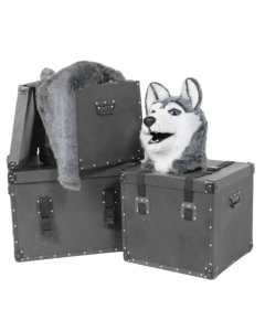 Mascot Carrying Case - X-Large 36"