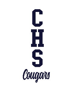 30" 1 Color School Initials and Name Decal (MDBDNA30)