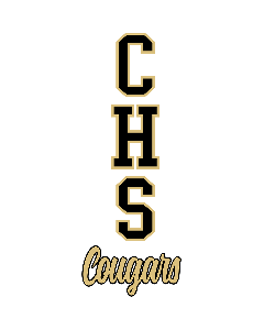 32" 2 Color School Initials and Name Decal (MDBDNA32-2)