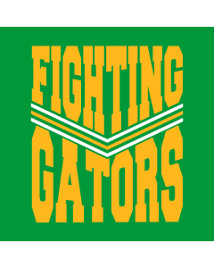 2 Color Power Stripe Split Screenprint Design (CTND253)