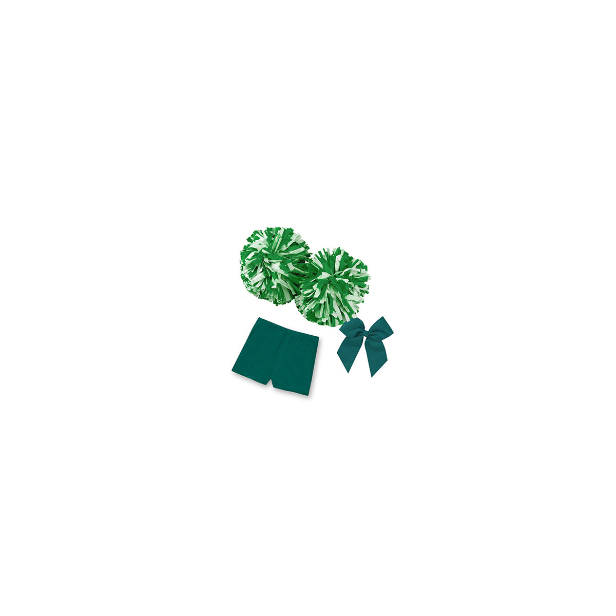 Accessory Package #30