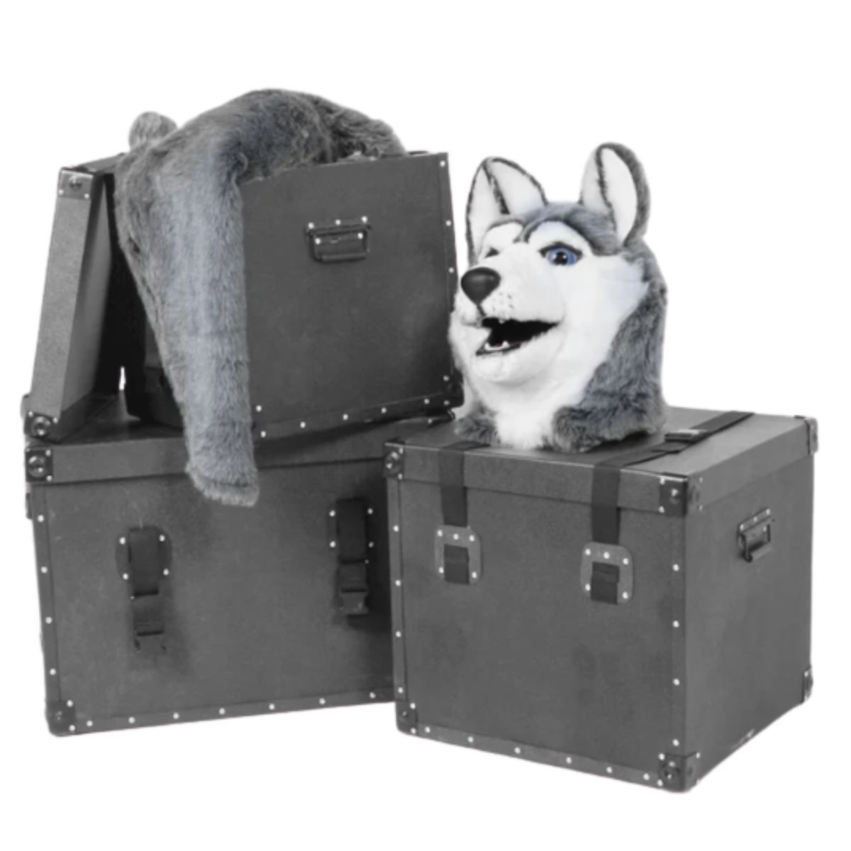 Mascot Carrying Case - X-Large 36"